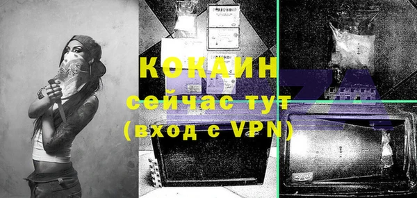 твердый Верхний Тагил
