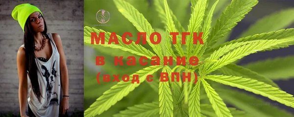 твердый Верхний Тагил