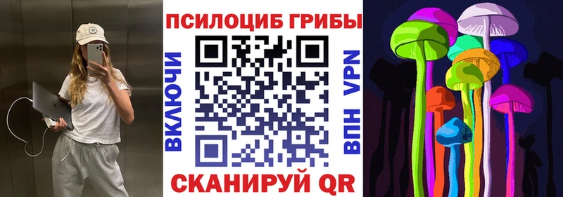 Купить  Ликино-Дулёво  Псилоцибиновые грибы Psilocybe 