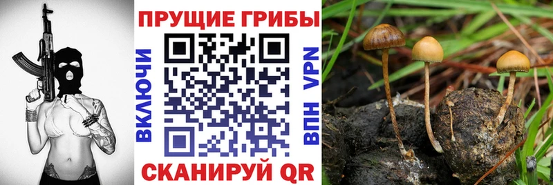Галлюциногенные грибы прущие грибы Ликино-Дулёво